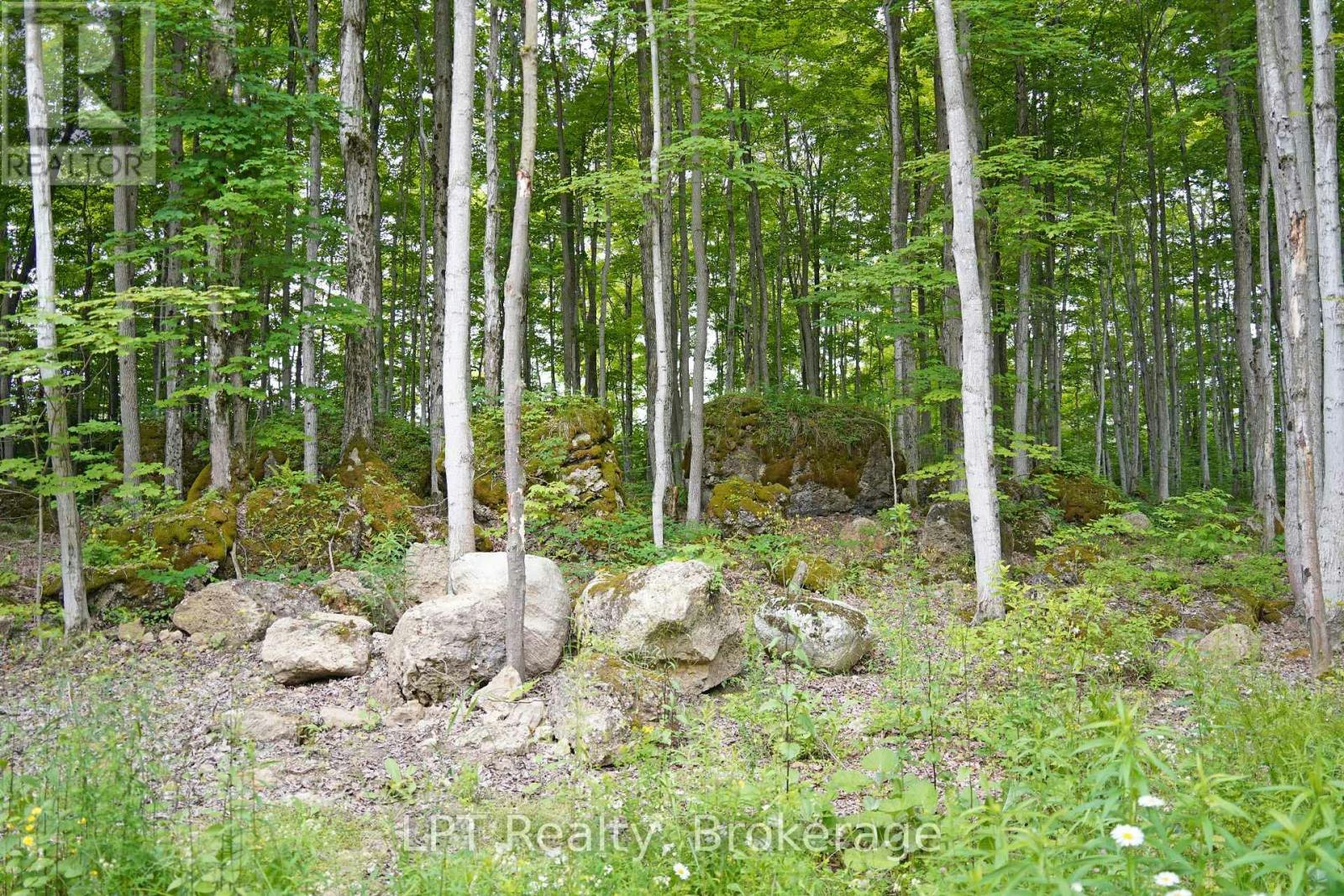 382488 17 Concession Road, Georgian Bluffs, ON, N0H 2T0 - 43