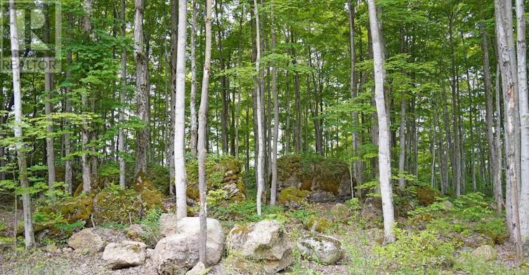 382488 17 Concession Road, Georgian Bluffs, ON, N0H 2T0 - 43