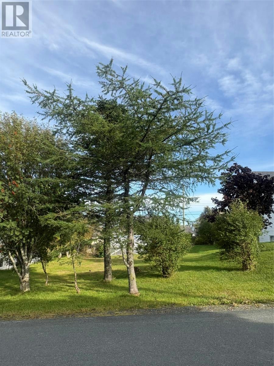 15 Cedar Drive, St Johns, NL, A1A 4X4