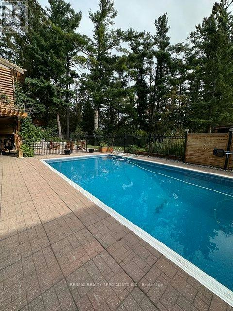 LOWER-189 Little Avenue, Barrie, ON, L4N 6L1 - 22