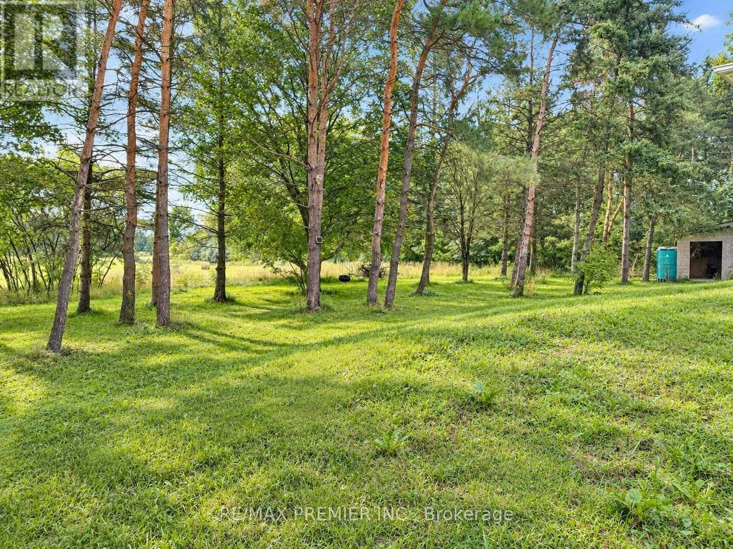 3350 18th Side Road, King, ON, L7B 0E7 - 14