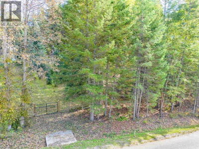 LOT-2 Rainbow Drive - 4
