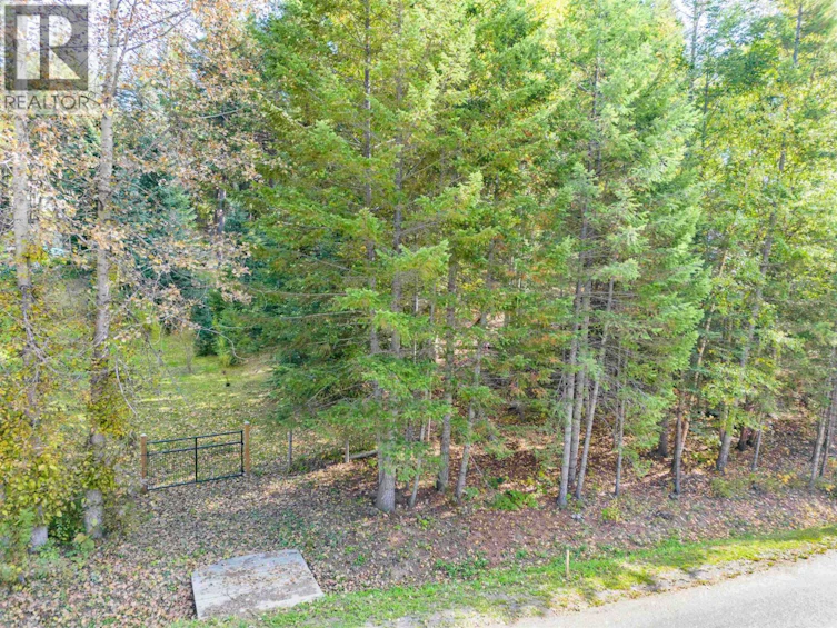 LOT-2 Rainbow Drive, Canim Lake, BC, V0K 1J0 - 4