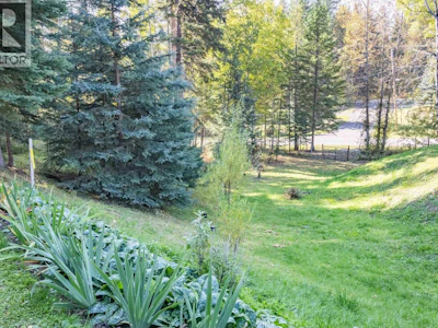 LOT-2 Rainbow Drive - 2