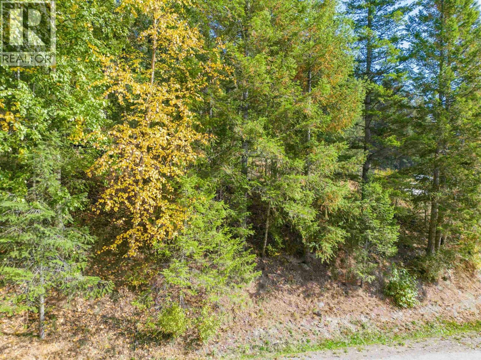 LOT-3 Rainbow Drive - 3