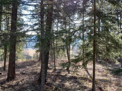 LOT-3 Rainbow Drive - 5