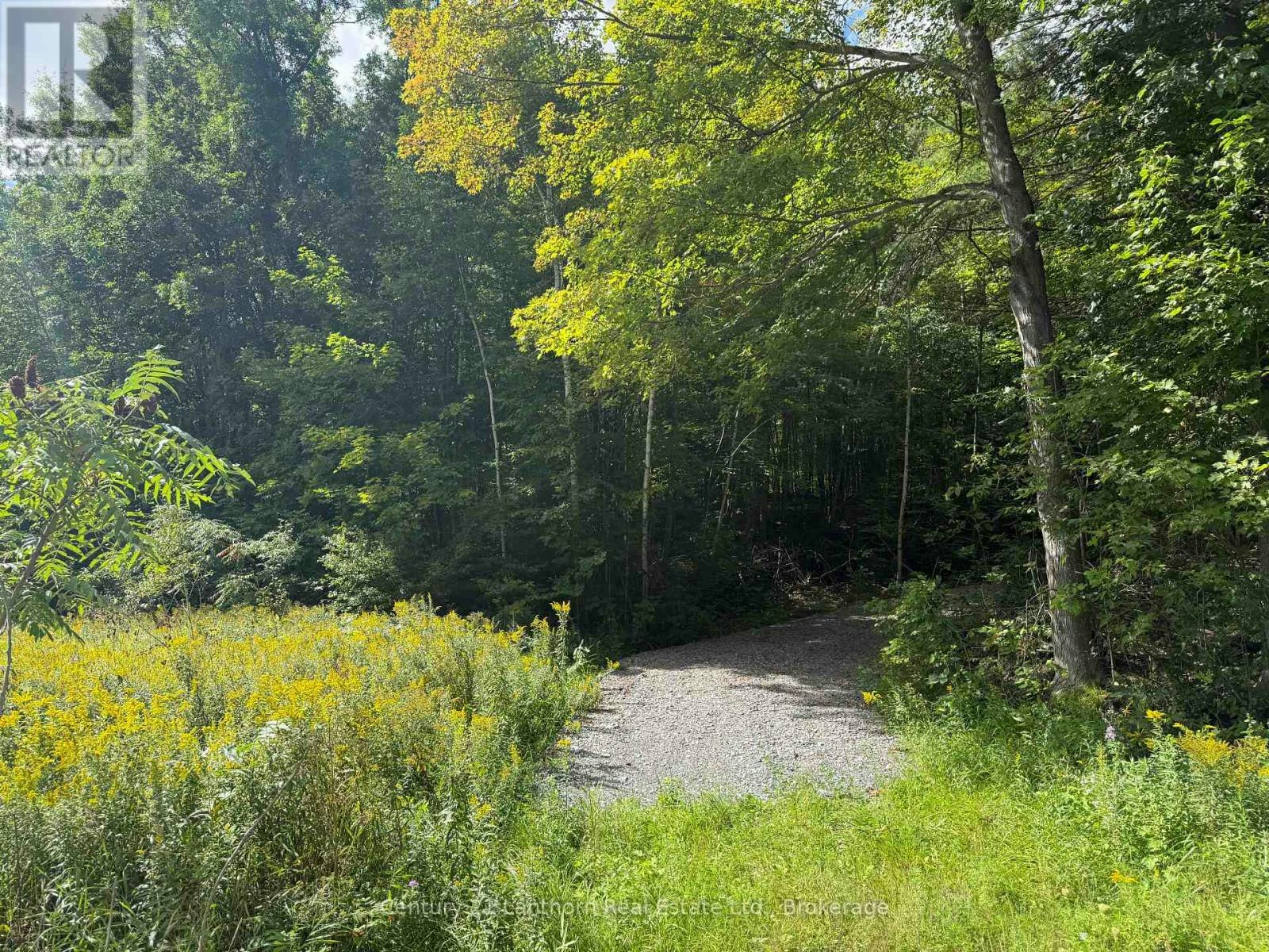 00 Lot 62 Highway SOUTH, Madoc, ON, K0K 2K0
