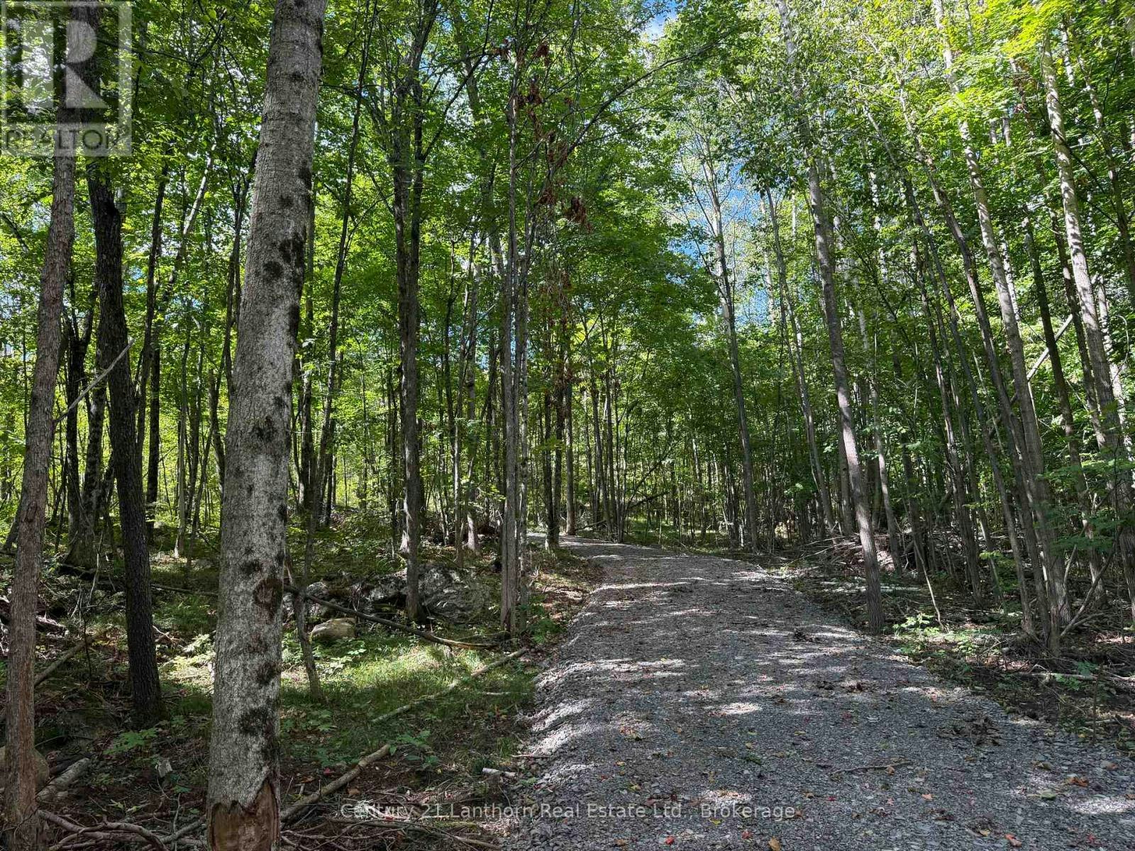 00 Middle Lot 62 Highway, Madoc, ON, K0K 2K0