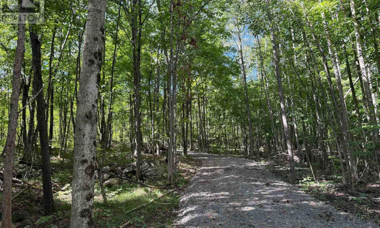 00 Middle Lot 62 Highway