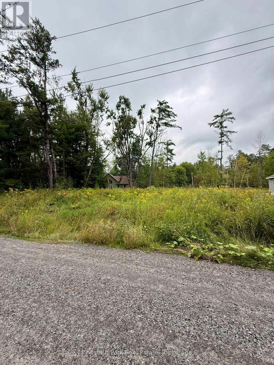 1006 Chippawa Avenue, Gravenhurst, ON, P1P 1R1