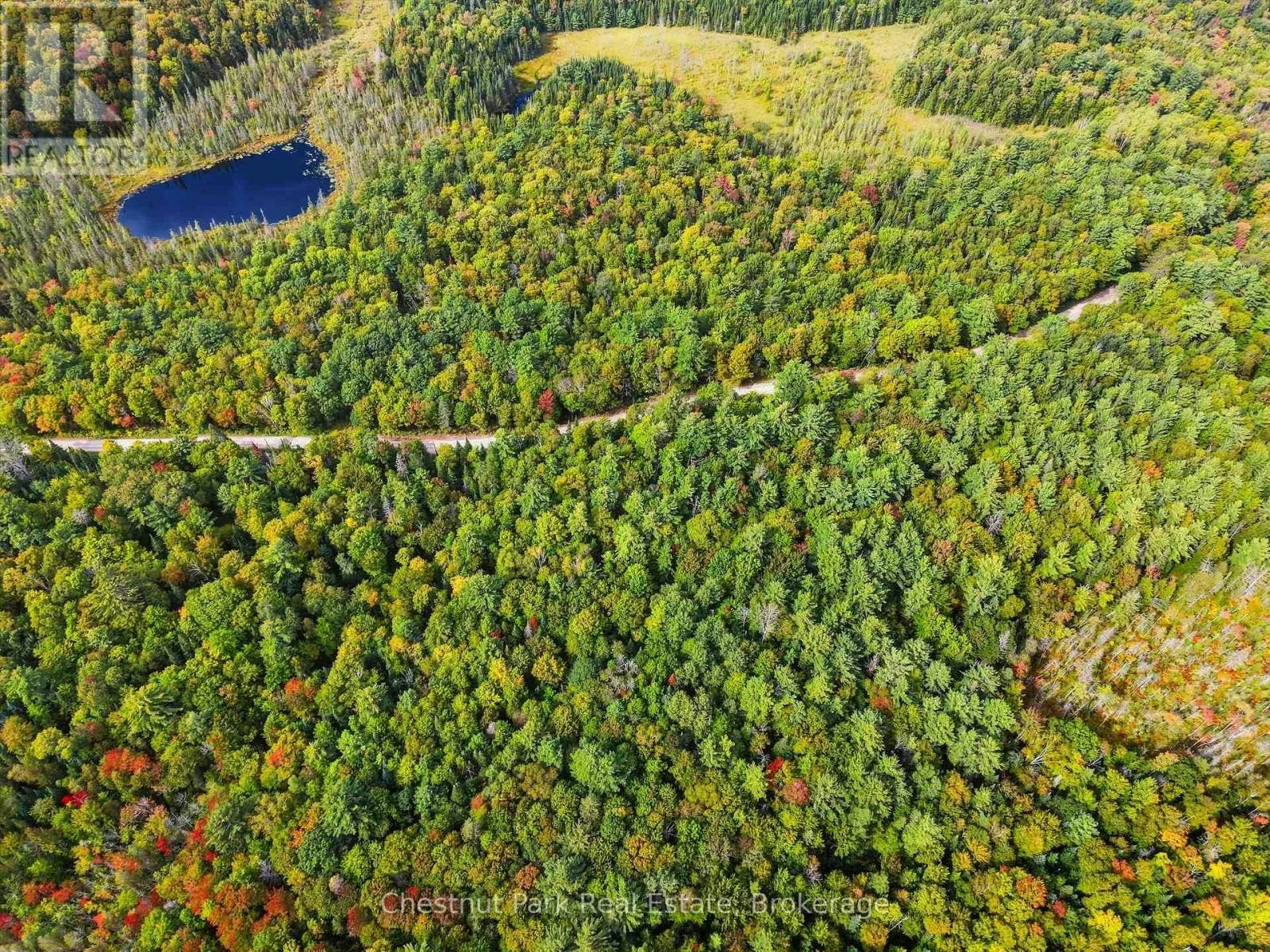 00 Paint Lake Road, Lake of Bays, ON, P0B 1A0