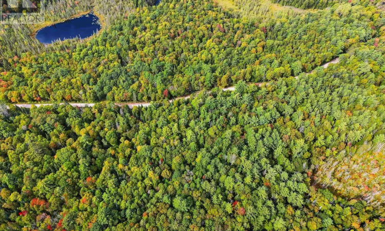 00 Paint Lake Road