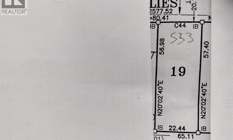 LOT 19-V/L Pallies
