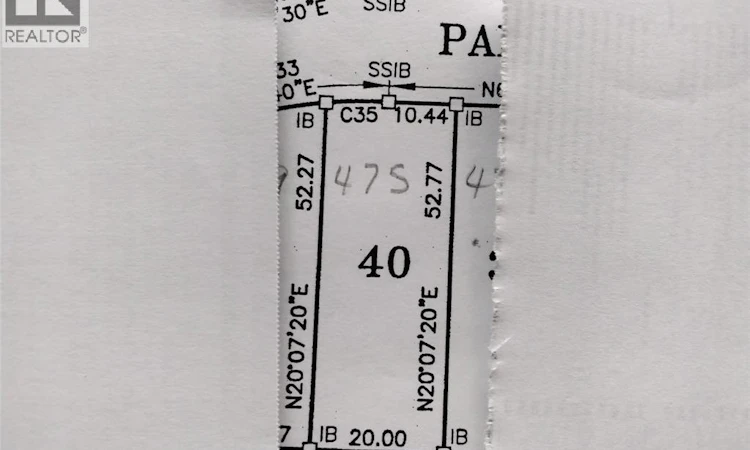 LOT 40-V/L Pallies