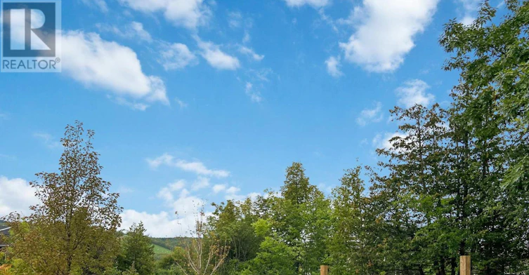 341 Yellow Birch Crescent, Blue Mountains, ON, L9Y 0Y5 - 50