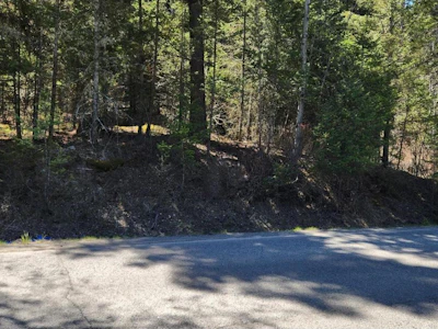 LOT-22 Kallum Drive - 4