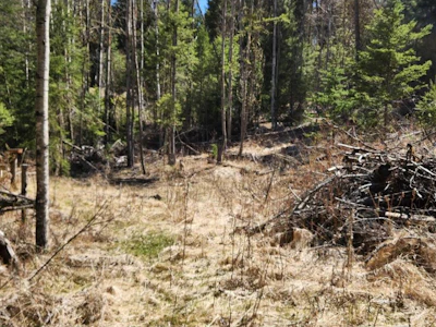 LOT-21 Kallum Drive - 3
