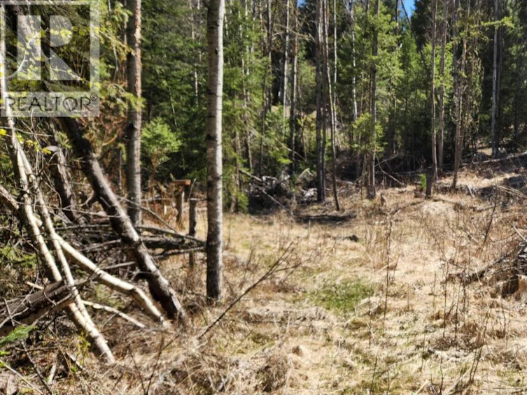LOT-21 Kallum Drive, 108 Mile Ranch, BC, V0K 2Z0 - 3
