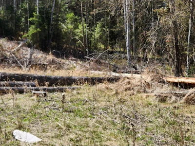 LOT-21 Kallum Drive - 4