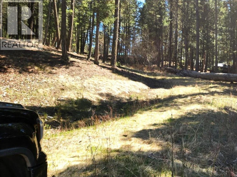LOT-46 Kallum Drive, 108 Mile Ranch, BC, V0K 2Z0 - 4