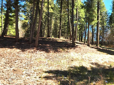 LOT-46 Kallum Drive - 5
