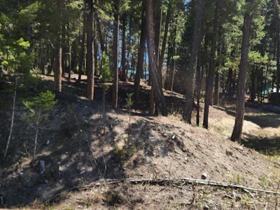 LOT-46 Kallum Drive - 2