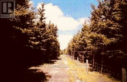 UPPER LEVEL - 383206-20 Side Road, Amaranth, ON, L9W 3X6 - 8