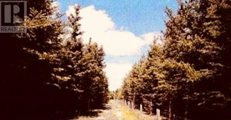UPPER LEVEL - 383206-20 Side Road, Amaranth, ON, L9W 3X6 - 8