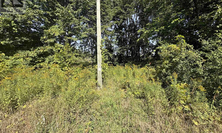LOT-0 1 Ingham Road WEST
