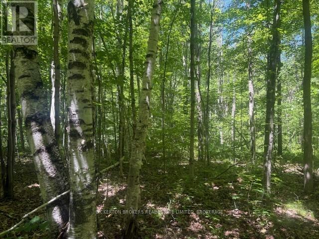 49 Cedar Sands Road, Rideau Lakes, ON, K0E 1N0