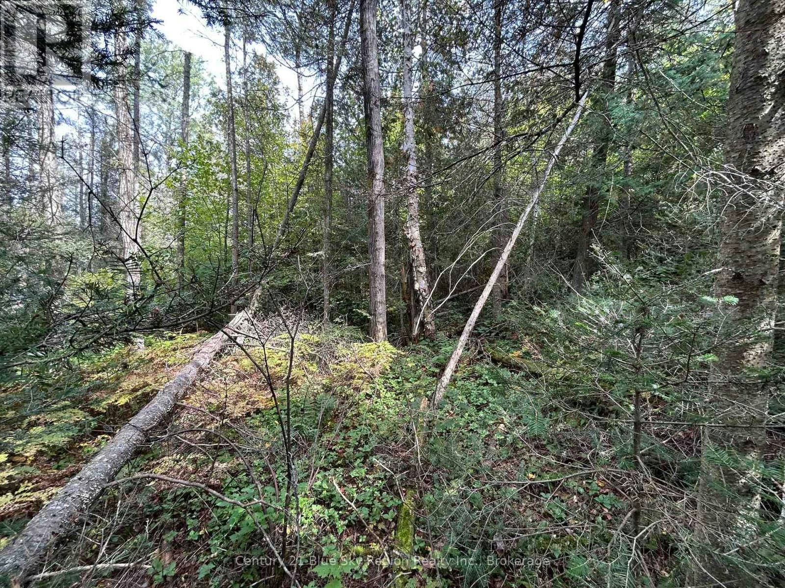 PCL-28216 531 Highway, Bonfield, ON, P0H 1E0