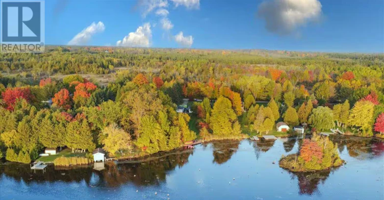 34 Hargrave Road, Kawartha Lakes, ON, K0M 2B0 - 47