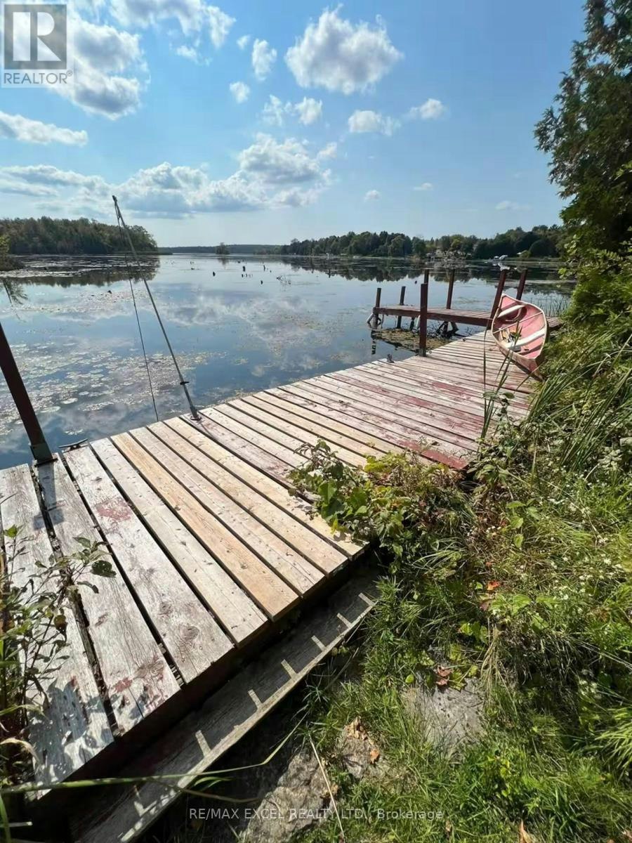 34 Hargrave Road, Kawartha Lakes, ON, K0M 2B0 - 42