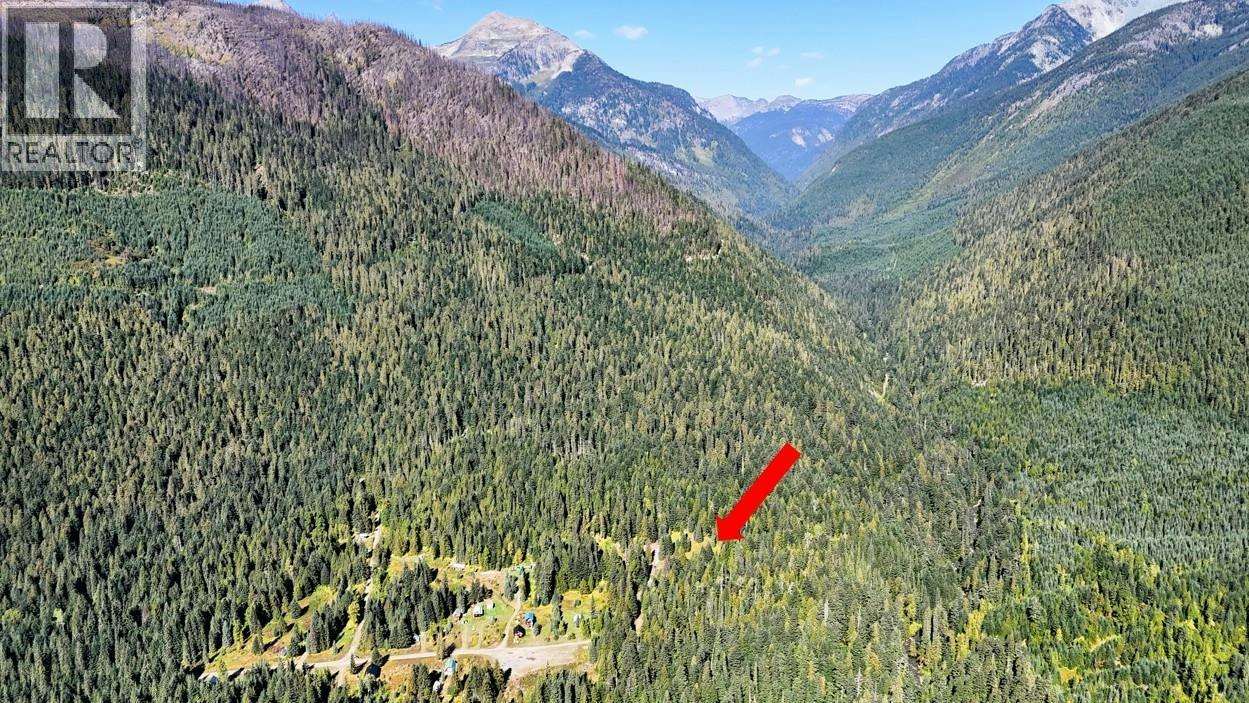 Lot Parcel A-1645 Ferguson Road, Revelstoke, BC, V0G 1R2