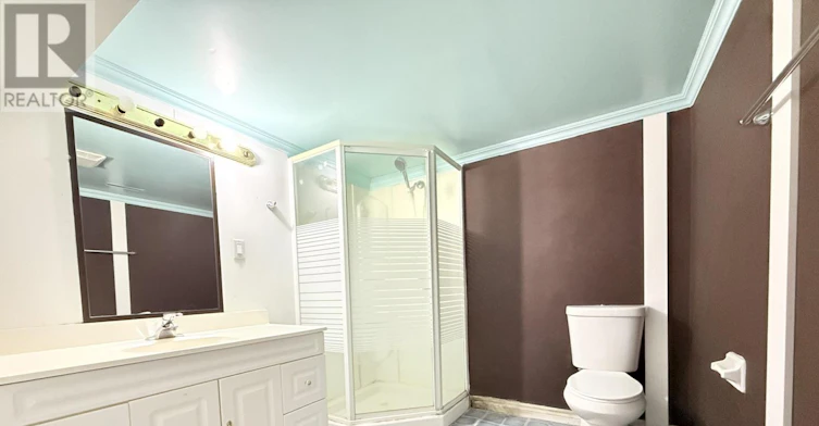 BASEMENT-230 Axminster Drive, Richmond Hill, ON, L4C 2W1 - 8