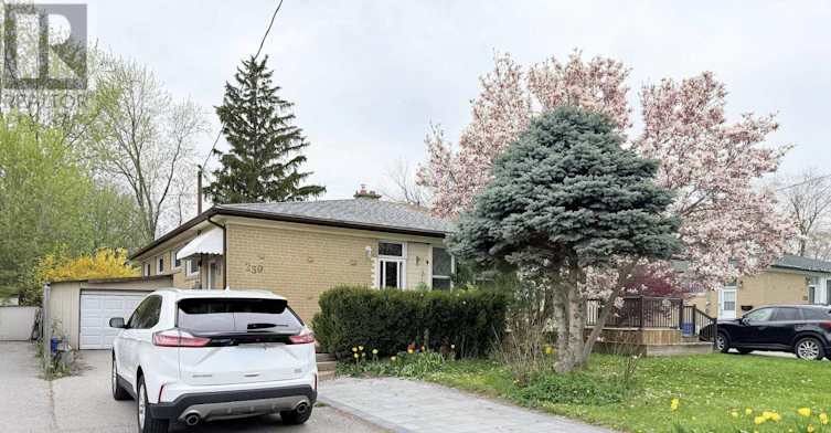BASEMENT-230 Axminster Drive, Richmond Hill, ON, L4C 2W1