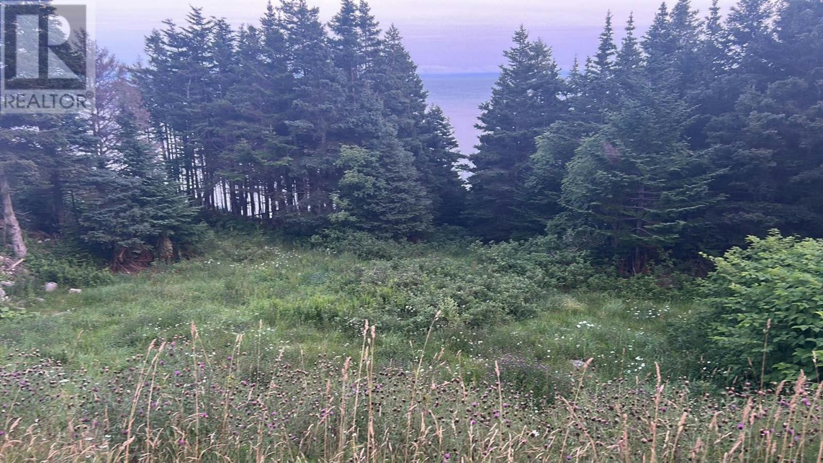485 Oceanview Drive, Cape St. George, NL, A0N 1T1