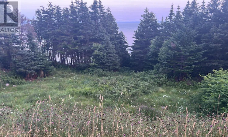 485 Oceanview Drive