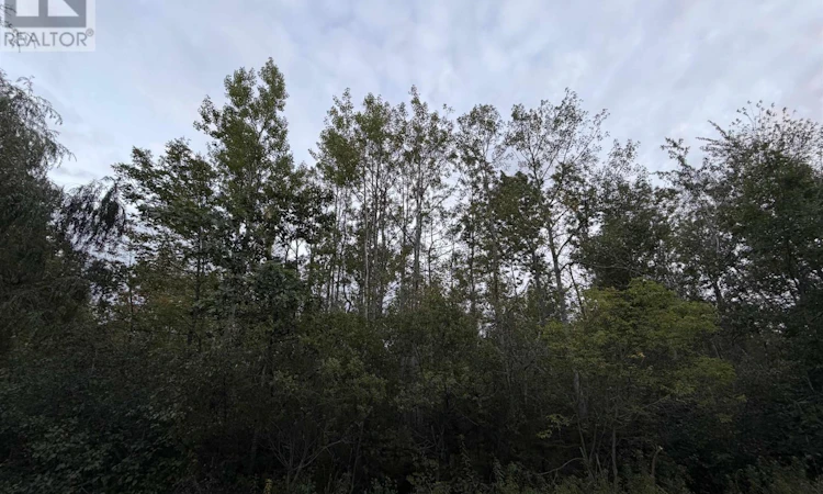 Lot-1 Adrian Smith Lane