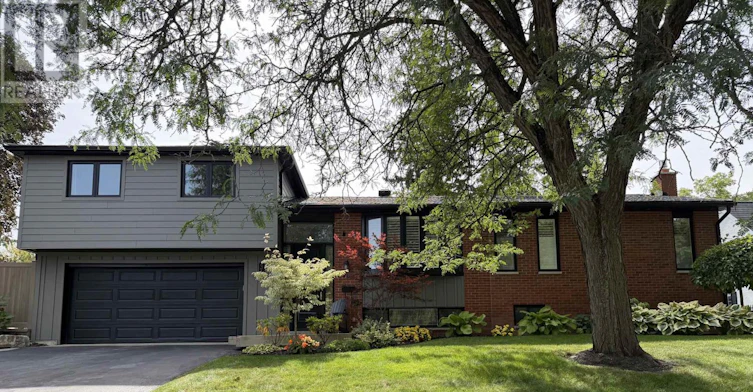 LOWER-310 Queen Street, Newmarket, ON, L3Y 2G4