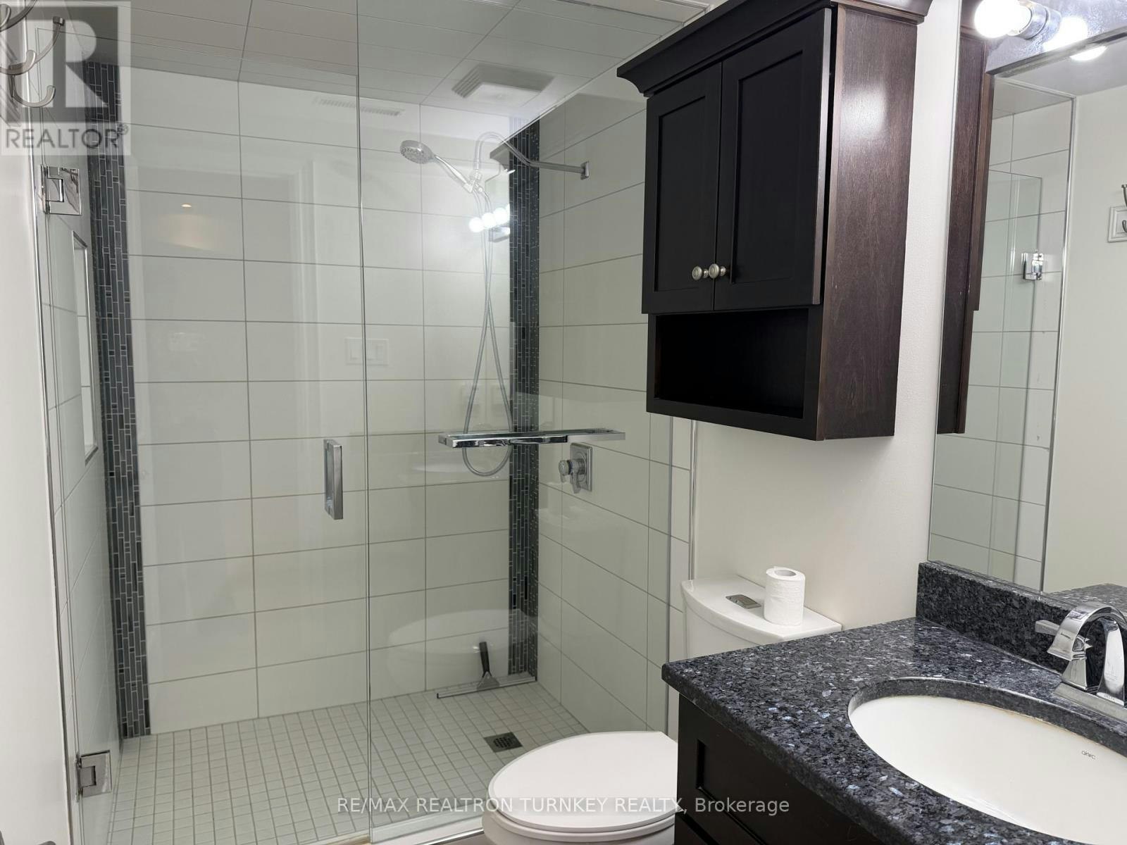 LOWER-310 Queen Street, Newmarket, ON, L3Y 2G4 - 13