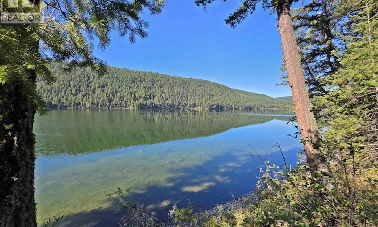 LOT-1 Mcleese Lake Road