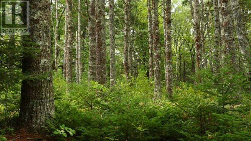 Lots 8 9 10-11 Old Renfrew Road, Nine Mile River, NS, B2S 2W5