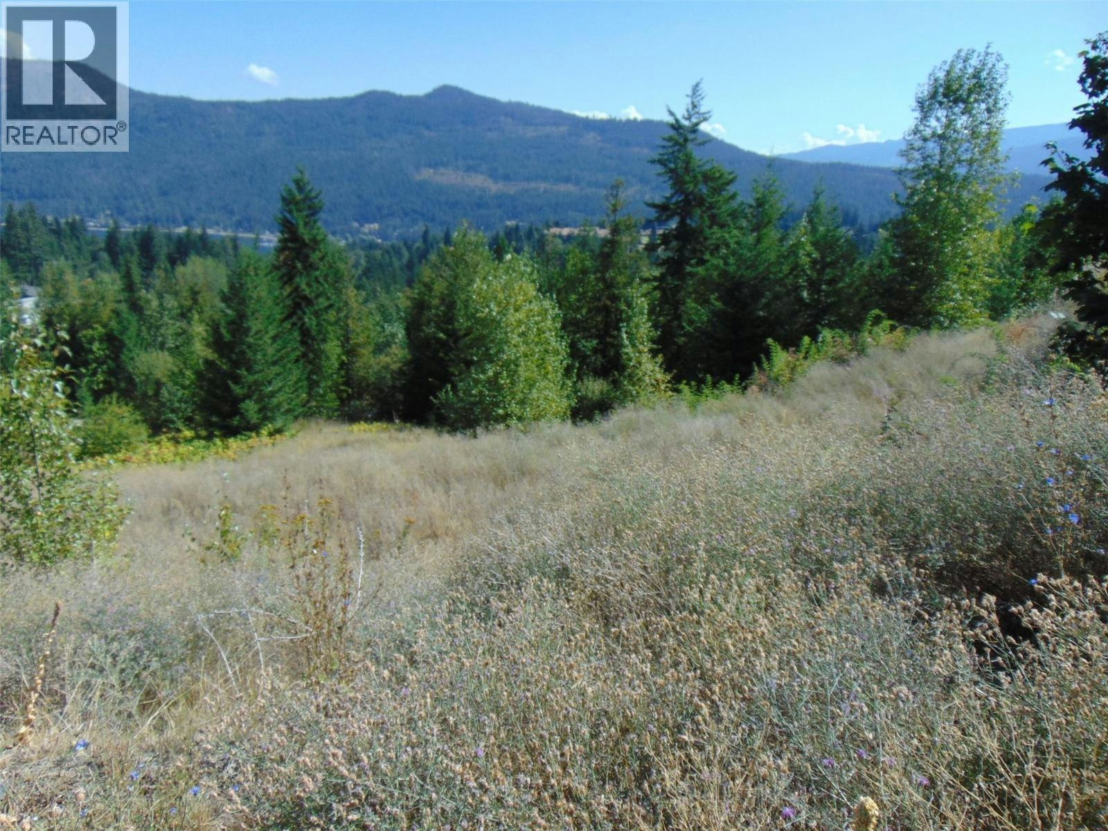 2624 Highlands Drive, Blind Bay, BC, V0E 1H2 - 17