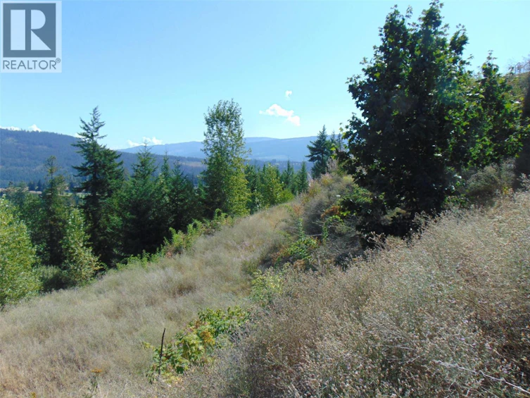 2624 Highlands Drive, Blind Bay, BC, V0E 1H2 - 18