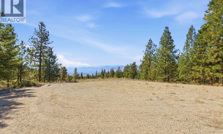 12 Mule Deer Point