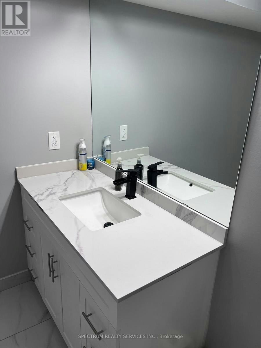 BASEMENT-84 Blue Mountain Drive, Hamilton, ON, L0R 1P0 - 16