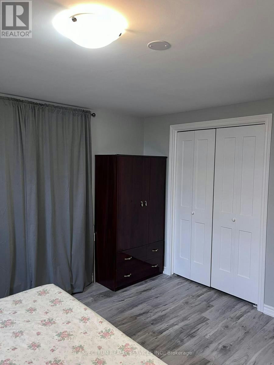 BASEMENT-84 Blue Mountain Drive, Hamilton, ON, L0R 1P0 - 12
