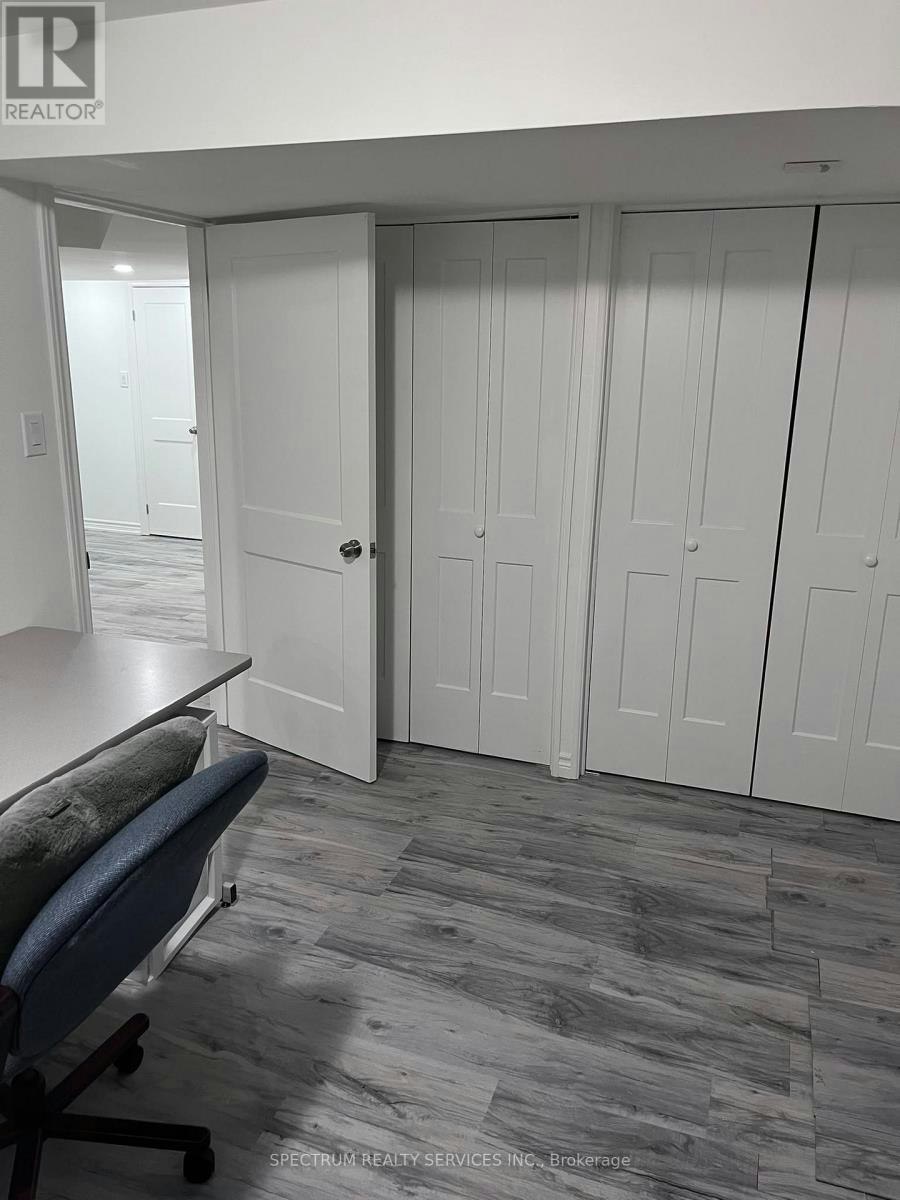 BASEMENT-84 Blue Mountain Drive, Hamilton, ON, L0R 1P0 - 9