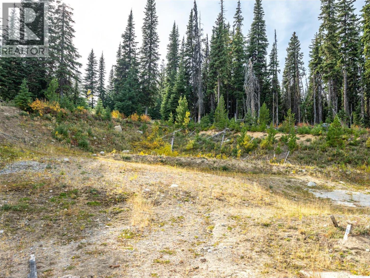 185 Snow Mountain Place, Keremeos, BC, V0H 1K0 - 3